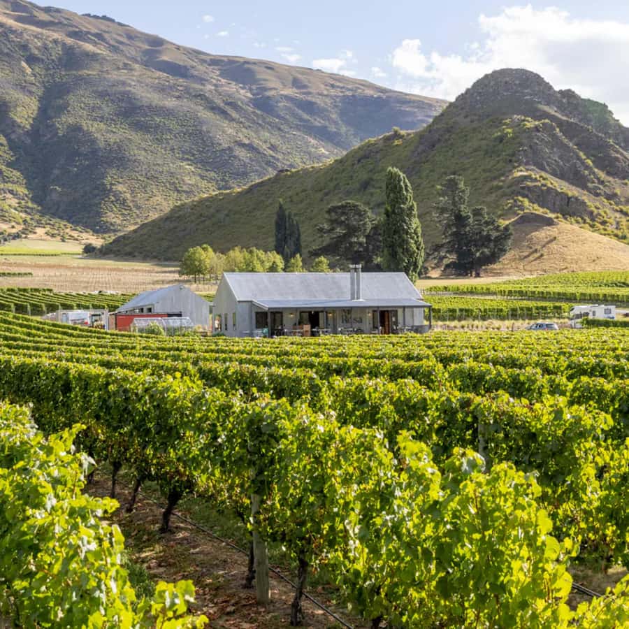 Queenstown, Arrowtown, Gibbston: Flexible Wine Hopper Tours - Key points before you pick your glasses