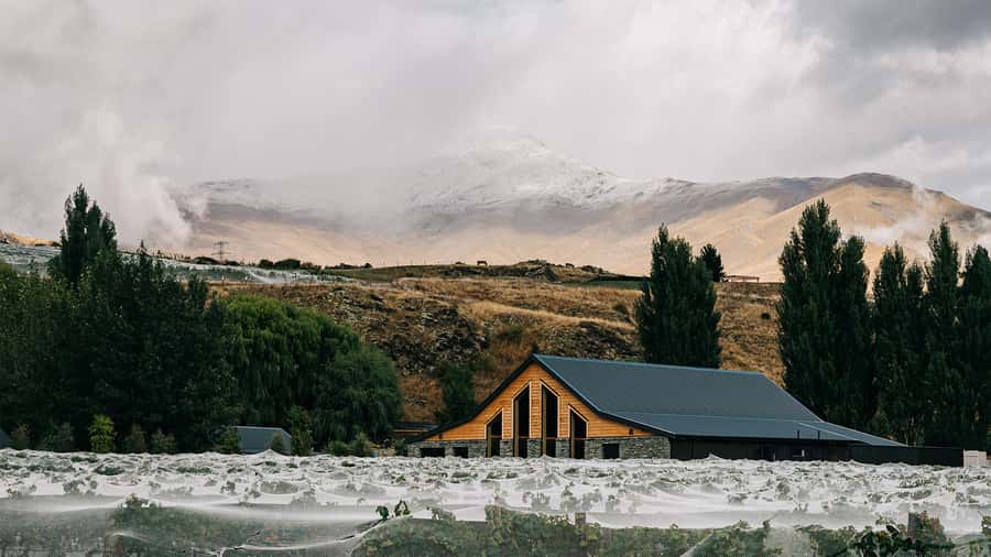 Queenstown: Classic Central Otago Wine Tasting Experience - Key highlights I’d prioritize
