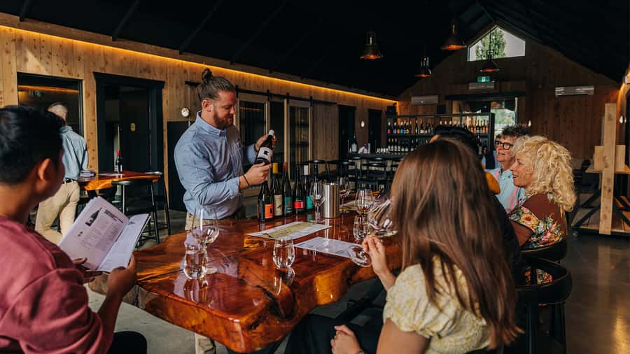 Queenstown: Classic Central Otago Wine Tasting Experience - What you learn, from pioneers to terroir and winemaker expression