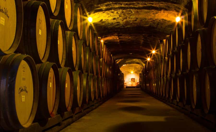 Queenstown: Classic Wine Tour - The Kawarau Gorge viewpoint and the AJ Hackett bungy moment