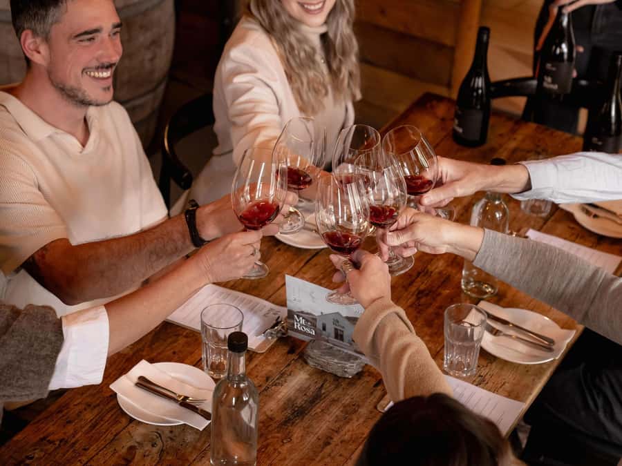 Queenstown: Classic Wine Tour - Transport in luxury Mercedes minivans, with electric-car legs
