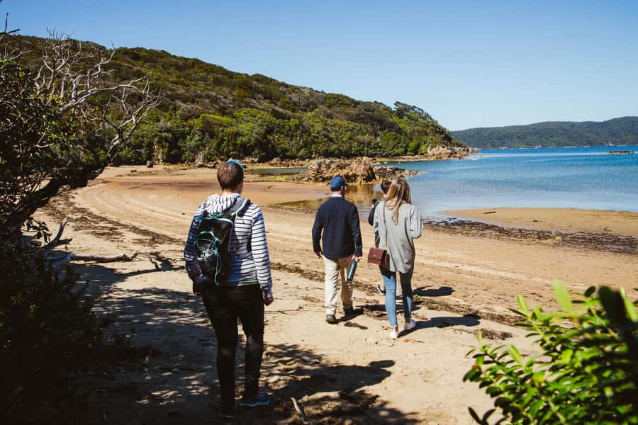 Queenstown: Day Trip to Stewart Island via Scenic Flight - Wildlife spotting, from the air to the ground