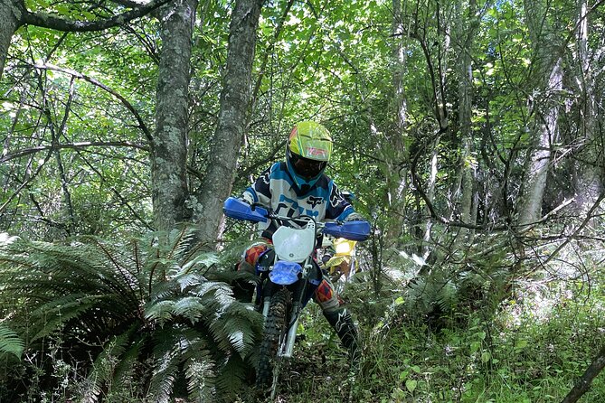 Queenstown: Dirt Bike Tours - A Real Progression Ride on a 600-Acre Property Above Town