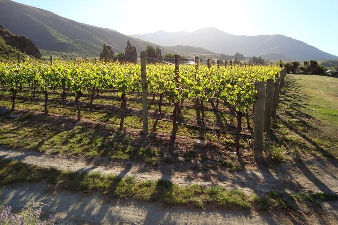 Queenstown Gin and Whiskey tours - Pickup, meeting point, and using a mobile ticket without stress