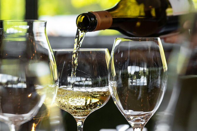 Queenstown Gin, Wine & Beer Tour | Adults Only - 12+ tastings, real pacing, and how to enjoy the route