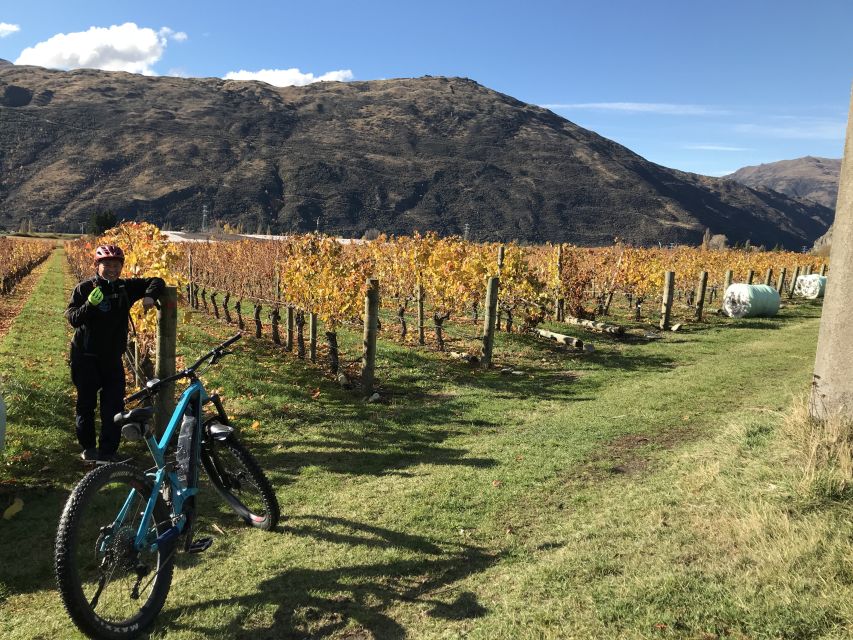 Queenstown: Guided E-Bike Tour with Winery Visits & Tastings - What you get for your $194: value beyond the e-bike