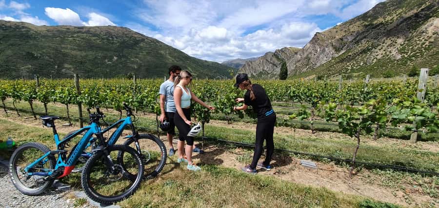 Queenstown: Guided E-Bike Tour with Winery Visits & Tastings - Starting in Frankton: meeting at Hansen Road and getting geared up