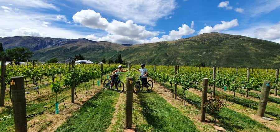 Queenstown: Guided E-Bike Tour with Winery Visits & Tastings - Riding into Gibbston Valley: vineyard views built for slow photo stops