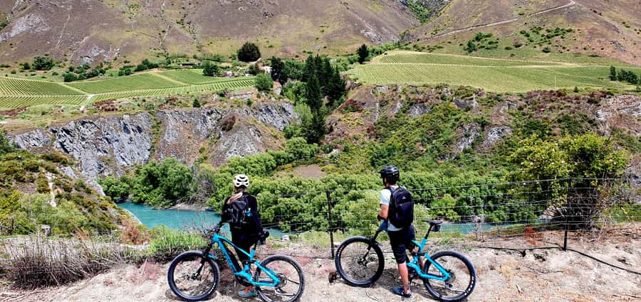 Queenstown: Guided E-Bike Tour with Winery Visits & Tastings - Arrowtown and the river route: gold-rush charm plus suspension-bridge stops