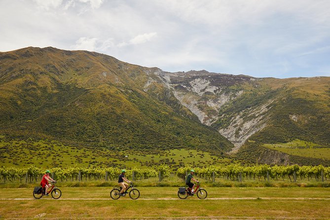 Queenstown Guided E-bike Wine Tour - Bike setup and cruise control, for different comfort levels