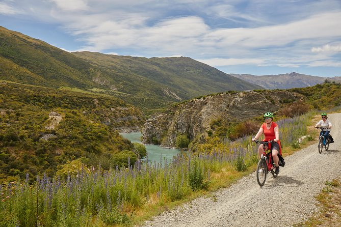 Queenstown Guided E-bike Wine Tour - Queenstown Trail and Kawarau Suspension Bridge: scenery plus a timed breather