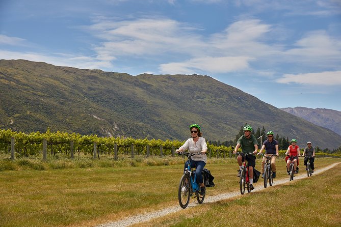 Queenstown Guided E-bike Wine Tour - Price and value: what you pay for at $162.30 per person