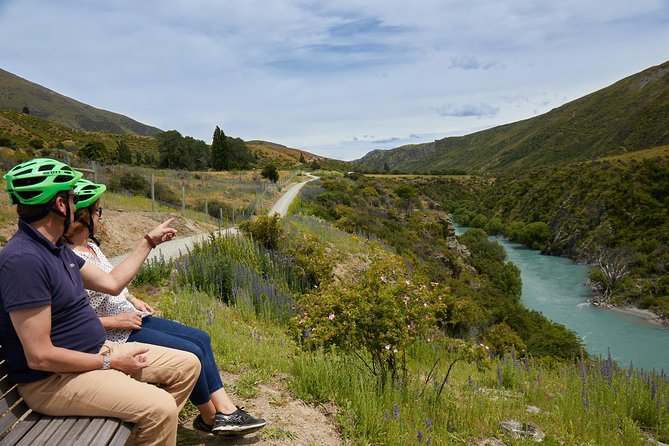 Queenstown Guided E-bike Wine Tour - Should you book this Queenstown guided e-bike wine tour?