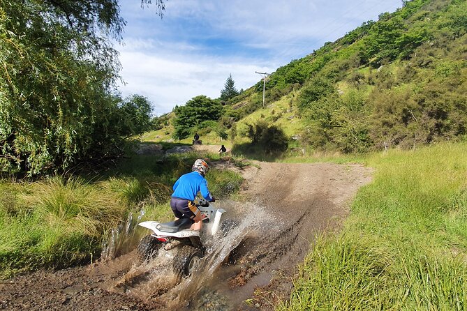 Queenstown Guided Self-Drive Buggy Tour - How Much Does It Cost, and Is It Good Value?