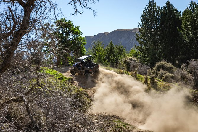 Queenstown Guided Self-Drive Buggy Tour - So Should You Book This Queenstown Buggy Tour?