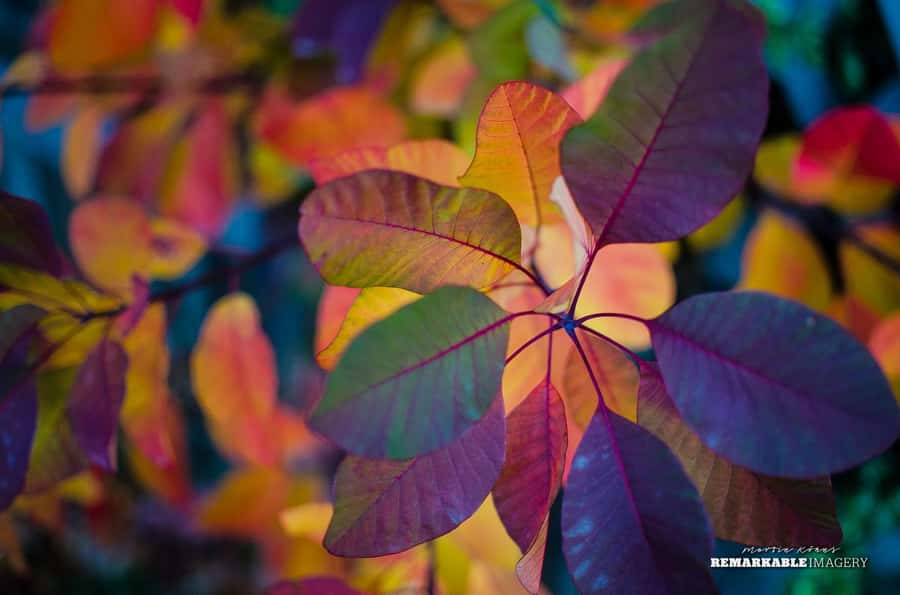 Queenstown: Half Day Private Photography Tour - Coffee, cookies, and the simple comforts that keep you moving