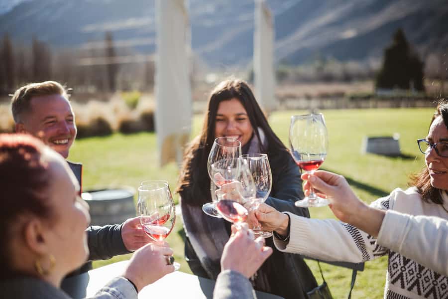 Queenstown: Helicopter & Wine Tasting Tour - Who This Tour Suits Best (And Who Should Skip It)