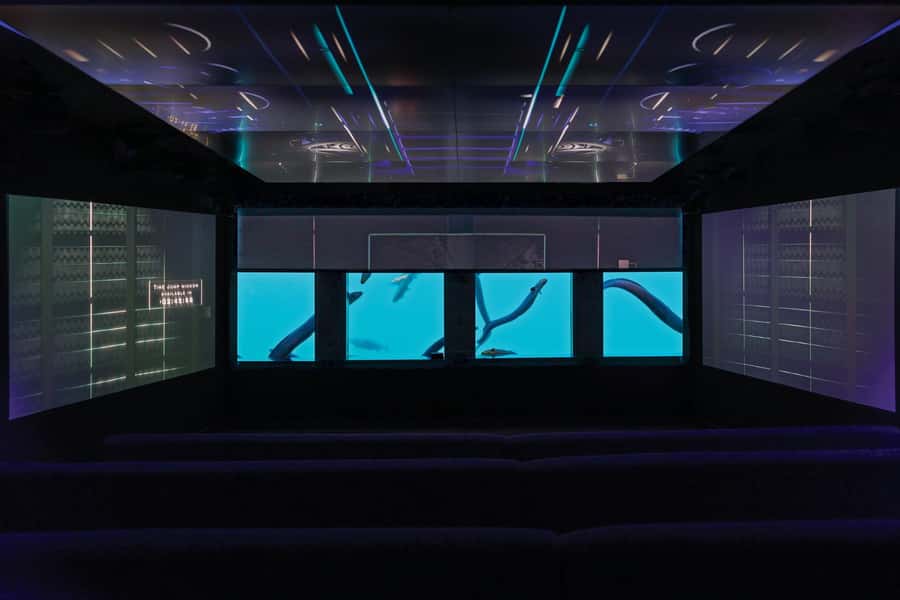 Queenstown: Hidden Underwater Theatre Experience - Time Tripper and the underwater observatory, why this works