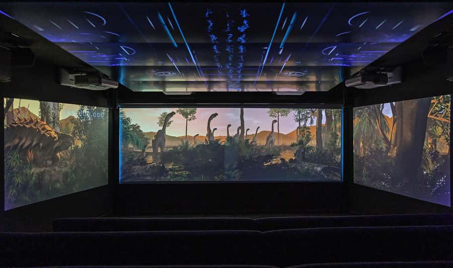Queenstown: Hidden Underwater Theatre Experience - The 14-minute black light show, 90 million years in one sitting