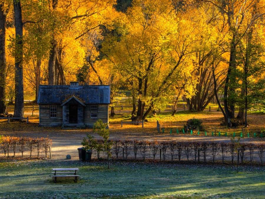 Queenstown: Highlights Tour with Wine Tasting - Key points to know before you go