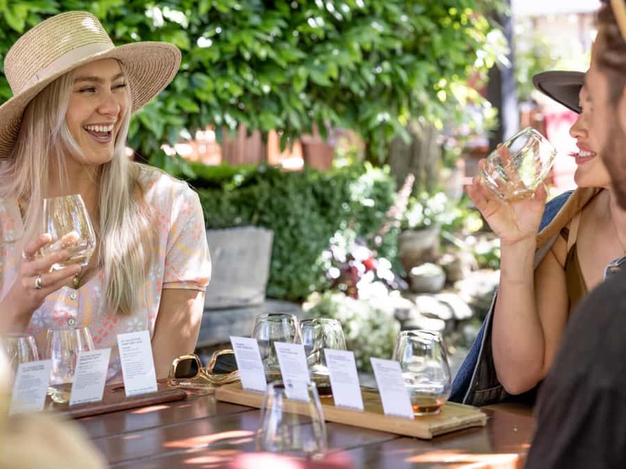 Queenstown: Highlights Tour with Wine Tasting - Gibbston Valley Winery tasting, with an eye for Pinot Noir