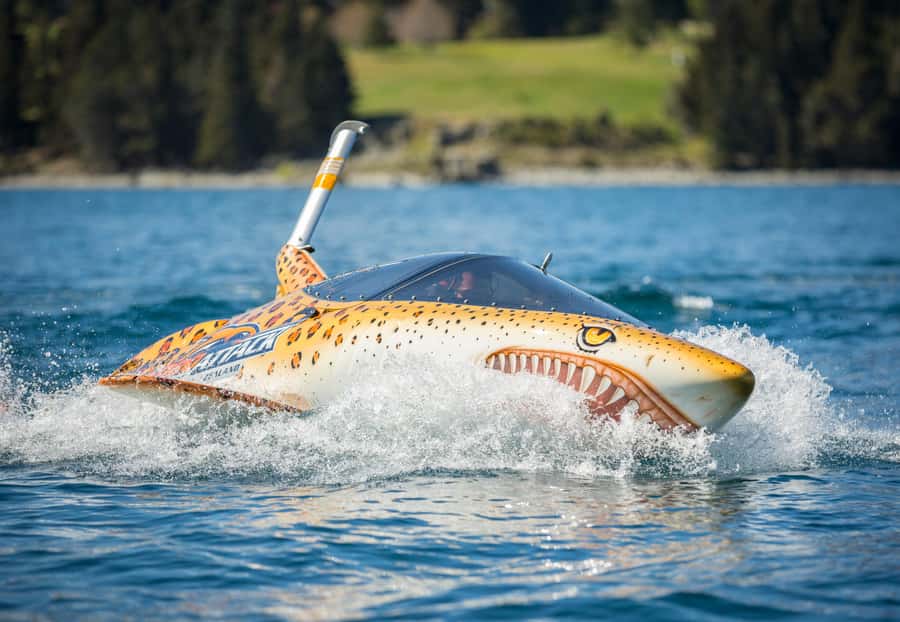 Queenstown: Hydro Attack Shark Ride - Mild or wild: how you should choose your thrill level