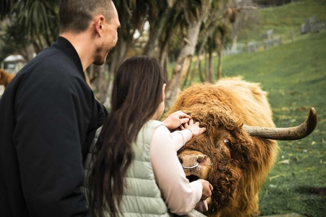Queenstown Lake Cruise and Walter Peak Farm Adventure - Key highlights