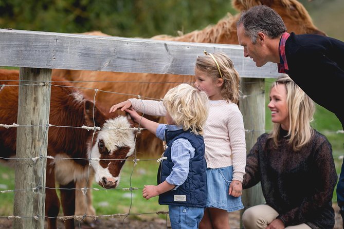 Queenstown Lake Cruise and Walter Peak Farm Adventure - Price and value: why $83.78 can make sense in Queenstown