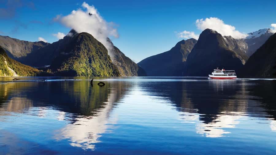 Queenstown: Milford Sound Day Trip - Cruise & Picnic Lunch - Photo Stops That Actually Break Up the Drive: Mirror Lakes, Eglinton Valley, Homer Tunnel