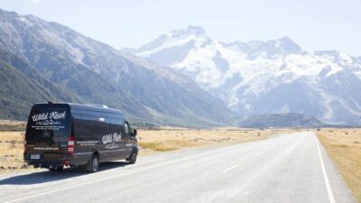 Milford Sound Day Trip – Cruise & Picnic Lunch