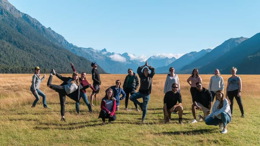 Queenstown: Milford Sound Day Trip - Cruise & Picnic Lunch - Lunch on the Water: Picnic Setup and Dietary Options