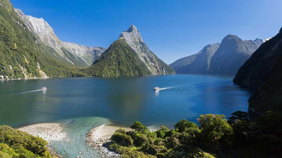 Queenstown: Milford Sound Day Trip - Cruise & Picnic Lunch - Wi-Fi, Snacks, and Small Comforts on a 10-Hour Day