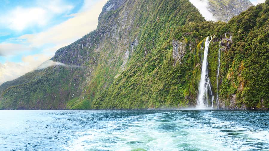Queenstown: Milford Sound Small-Group Tour w Cruise & Lunch - Picnic lunch, snacks, and staying comfortable for the long haul