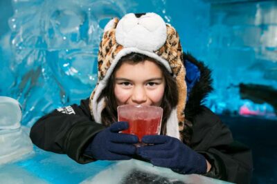 Minus 5 Ice Bar Experience with Drink Options