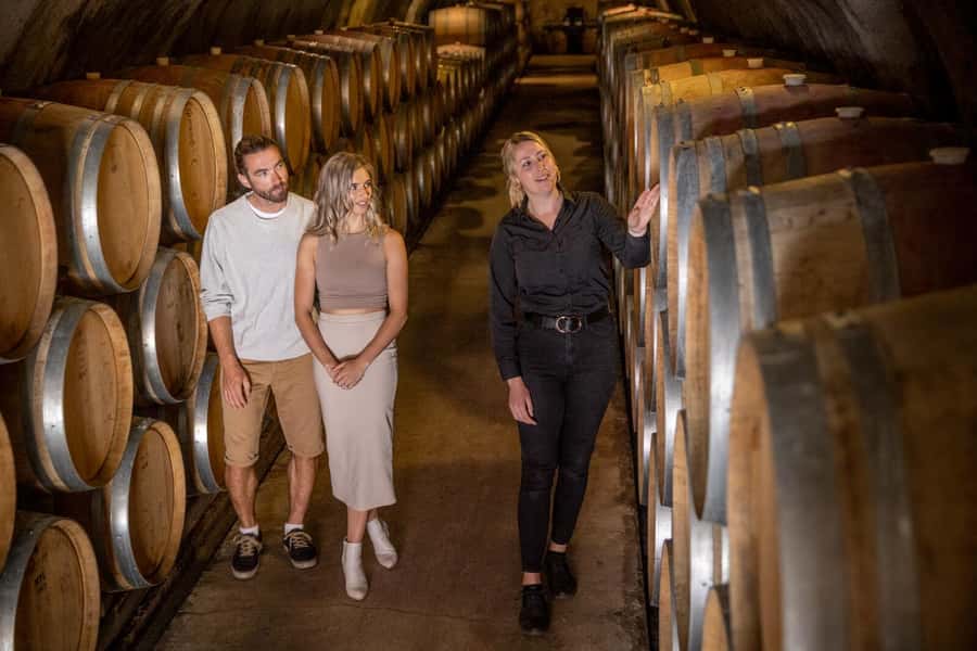 Queenstown: Original Premium Half-Day Gibbston Wine Tour - Price and value: why $118 can make sense