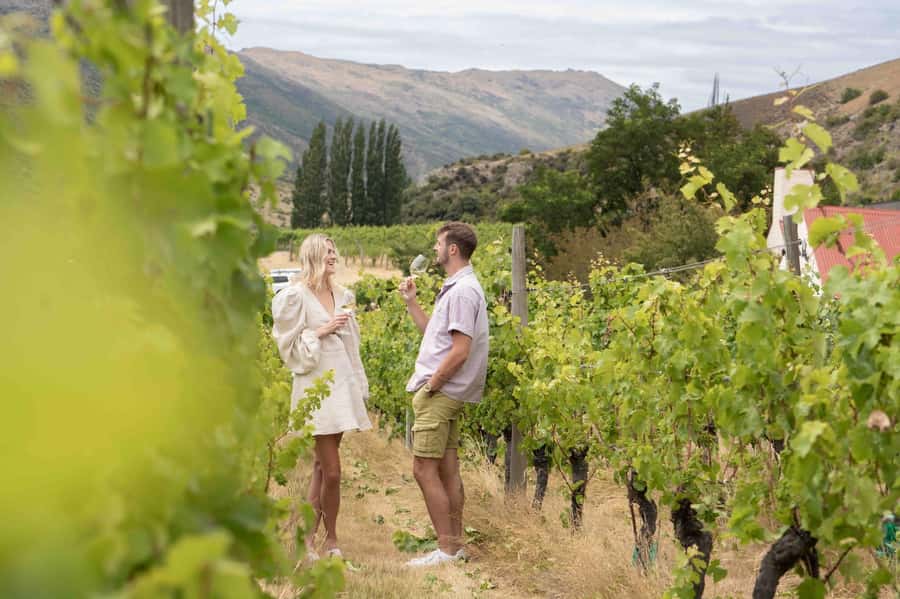 Queenstown: Original Premium Half-Day Gibbston Wine Tour - From Camp Street pickup to the ride that keeps things easy
