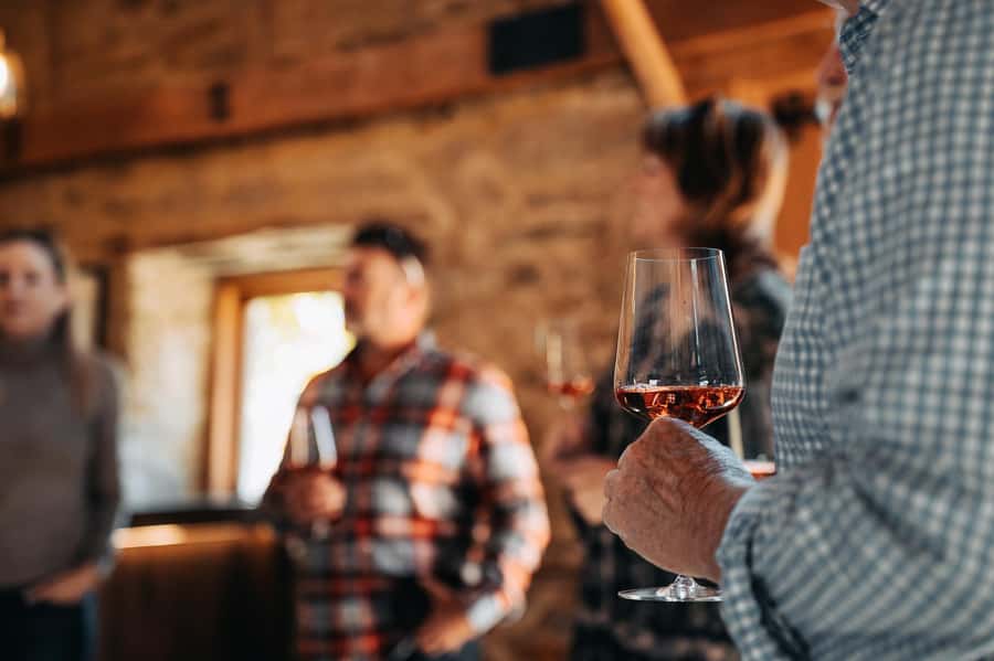 Queenstown: Premium Full-Day Central Otago Wine Tasting Tour - What the WSET wine guide adds to your tastings