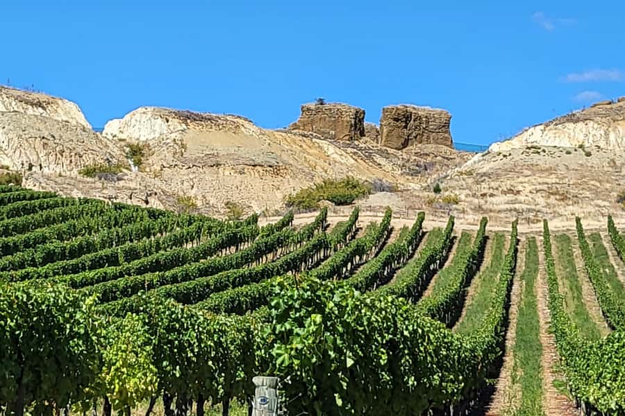 Queenstown: Premium Full-Day Central Otago Wine Tasting Tour - Scenic stops in Arrowtown and Old Cromwell, when time allows