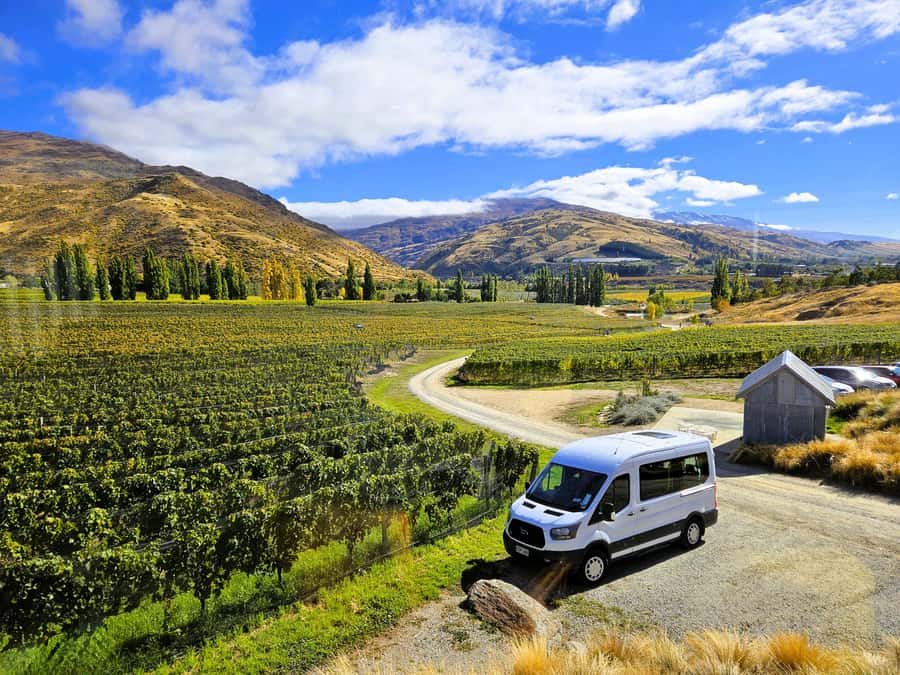 Queenstown: Premium Full-Day Central Otago Wine Tasting Tour - Meeting at 48 Camp Street and how the 7 hours actually feel