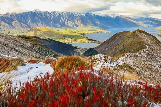 Queenstown Private Airport Transfer: Door to Door Service - Meeting the Driver: Quick Pickup With Clear Coordination