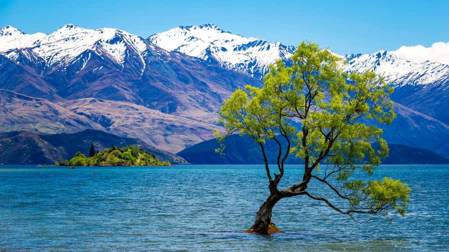 Queenstown: Private Day Trip to Wanaka, Arrowtown & More - Arrowtown: Gold-Rush Charm With Flexible Time for Photos