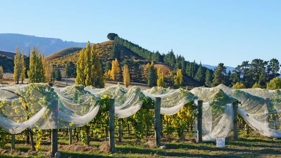Queenstown: Private Day Trip to Wanaka, Arrowtown & More - The Itinerary Logic: How the Stops Fit Together