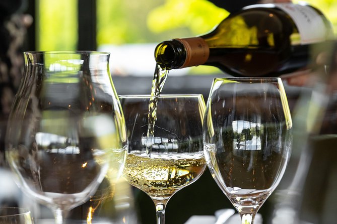 Queenstown Progressive Dinner & Wine Tour | 3 Stunning Locations - Stop 1: Fino Restaurant & Wine Bar at Frankton Marina