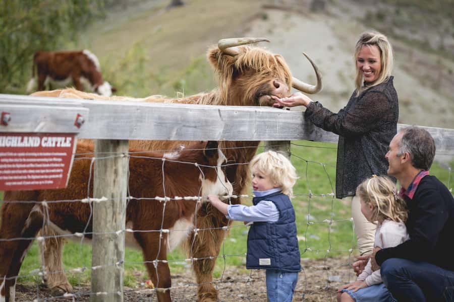 Queenstown: Queenstown Lake Cruise and Walter Peak Farm Tour - Key things that make this outing worth it