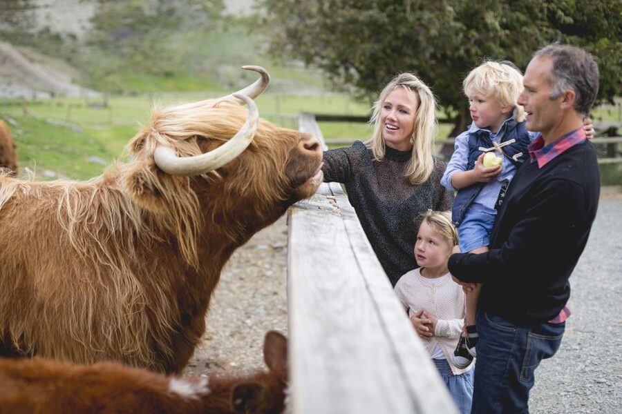 Queenstown: Queenstown Lake Cruise and Walter Peak Farm Tour - Tea time on the farm: more than a snack break