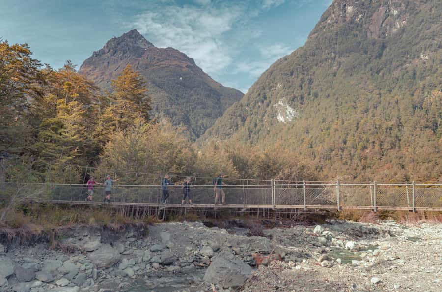 Queenstown: Routeburn Track Guided Full-Day Walk or Half Day - Key things to know before you go
