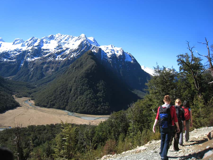 Queenstown: Routeburn Track Guided Full-Day Walk or Half Day - Routeburn Track: the swing bridge to the snow-capped lookouts
