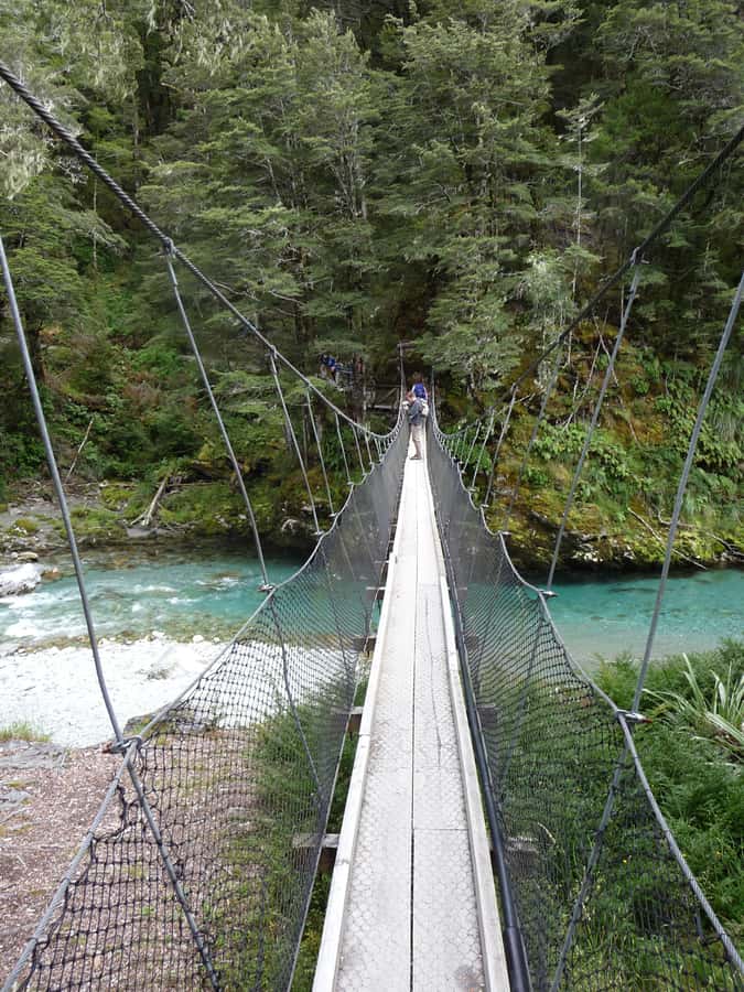 Queenstown: Routeburn Track Guided Full-Day Walk or Half Day - Price, $152 value, and who should choose the guided option