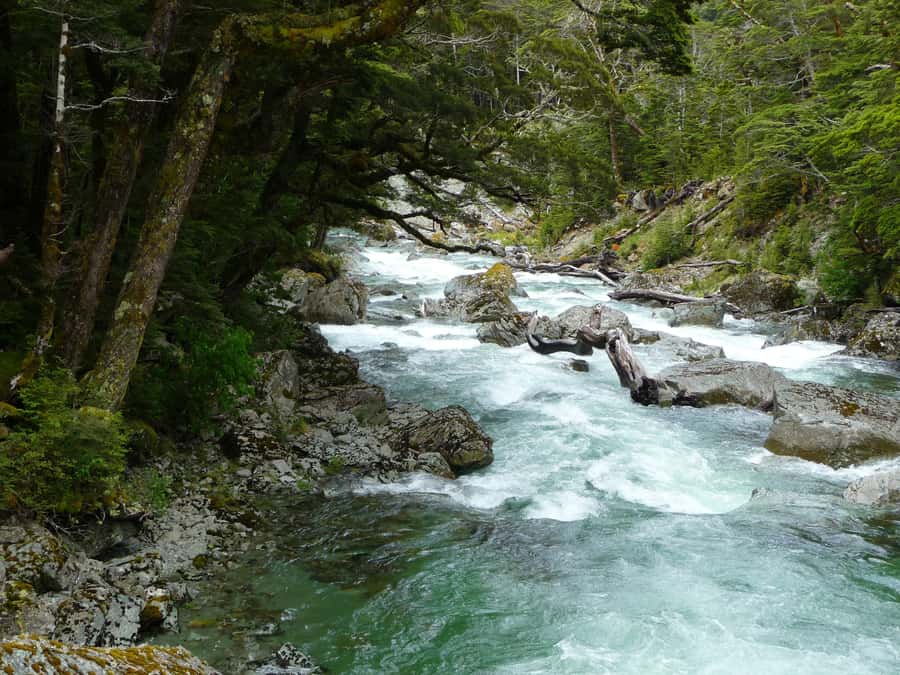 Queenstown: Routeburn Track Guided Full-Day Walk or Half Day - Queenstown-Glenorchy Road transfer and where the day starts