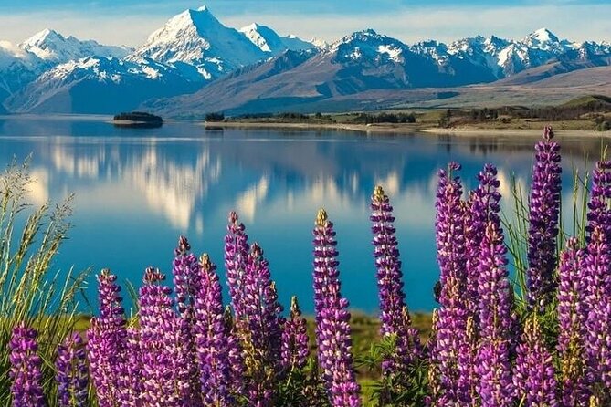 Queenstown to Christchurch One Way Tour Via Lake Tekapo & Mt Cook - Hooker Valley Track at dawn: short walk, big payoff